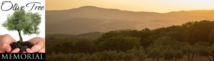 Olive Tree Memorial